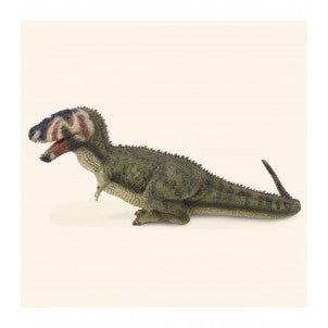 Daspletosaurus collecta 1