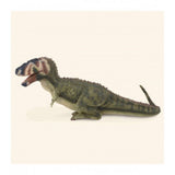 Daspletosaurus collecta 1