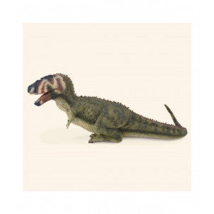 Daspletosaurus collecta 2