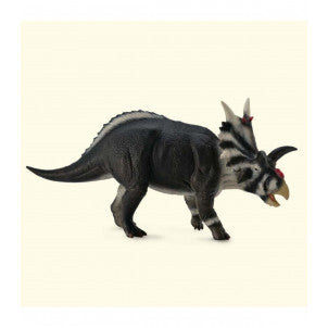 Xenoceratops collecta 1