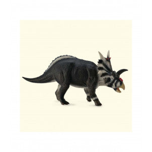 Xenoceratops collecta 2