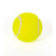 Pelota iniciacion cesta-punta 1