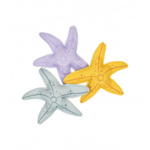 Compañeros de buceo sea stars swim essentials 1