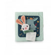 Libro joe y su peluche lilliputiens 1