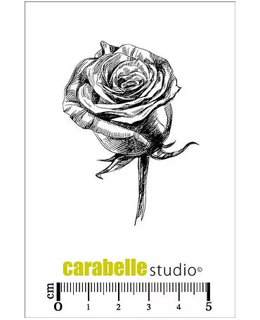 SELLO CARABELLE Rose 1