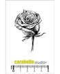 SELLO CARABELLE Rose 1