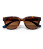 Gafas de sol okkia giovanni classic havana and blue 1