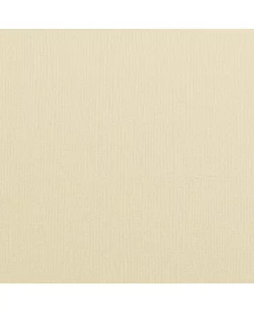 CARTULINA TEXTURE 30.5x30.5cm Raffia 1