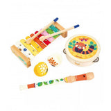 Set de instrumentos musicales gioia janod 1