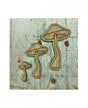 Madera LAURA INGUZ Pack Setas 3 ud 1