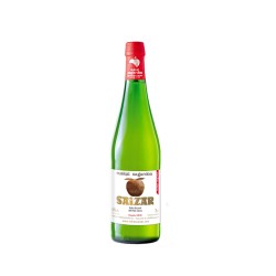 Sidra Saizar 1