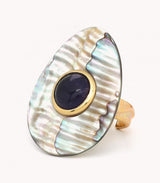 Anillo ginervy nature bijoux 1