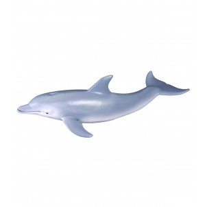 Delfin collecta 1