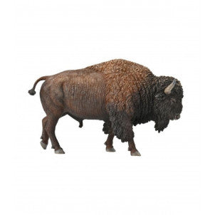 Bisonte americano collecta 1
