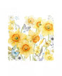 Servilletas CLASSIC DAFFODILS 1