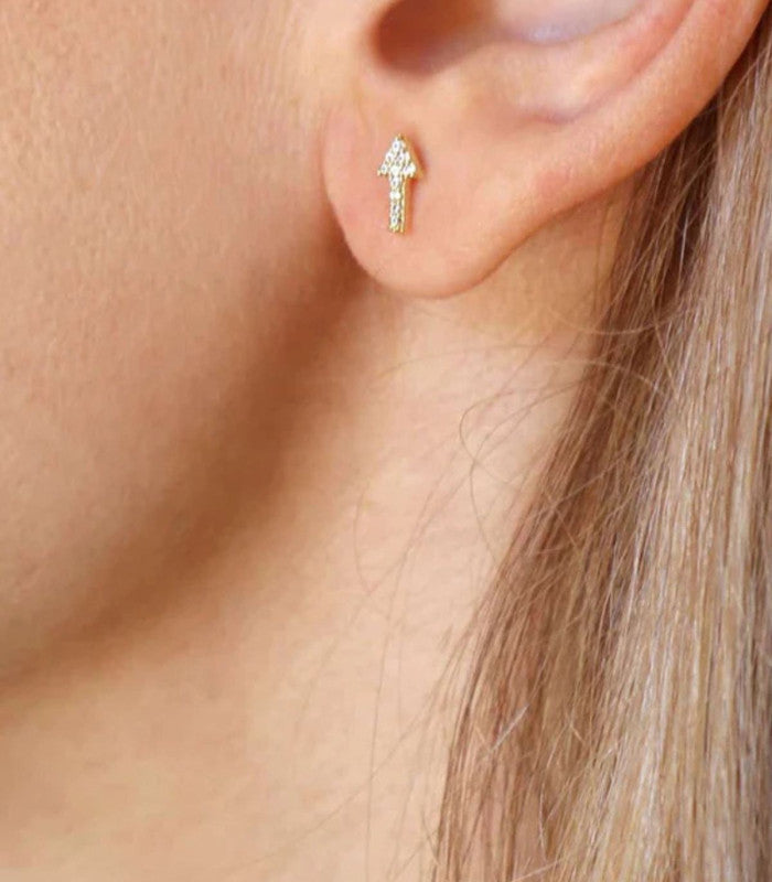 Piercing lonut plateado anartxy 2