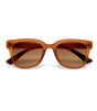 Gafas de sol okkia giovanni translucent brown 1