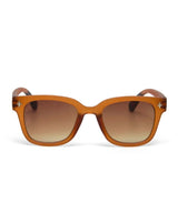 Gafas de sol okkia giovanni translucent brown 2