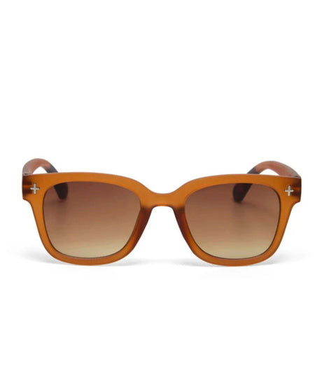 Gafas de sol okkia giovanni translucent brown 2