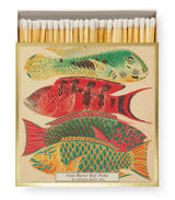 Cerillas natural history museum fish archivist 1
