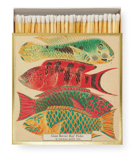 Cerillas natural history museum fish archivist 1