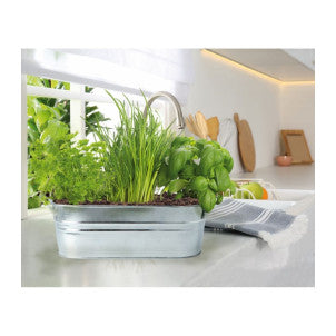 Cuenco zinc hierbas aromaticas green warriors 2