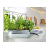 Cuenco zinc hierbas aromaticas green warriors 2