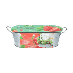 Cuenco zinc dulce fresa green warriors 1