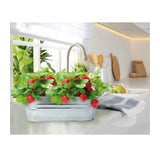 Cuenco zinc dulce fresa green warriors 2