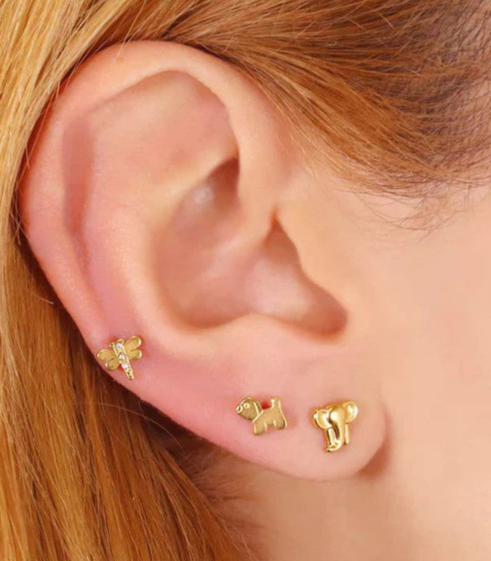 Piercing dog dorado anartxy 2