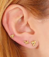 Piercing dog dorado anartxy 2