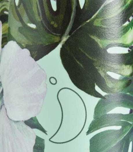 Botella inox monstera 500ml chilly's 2