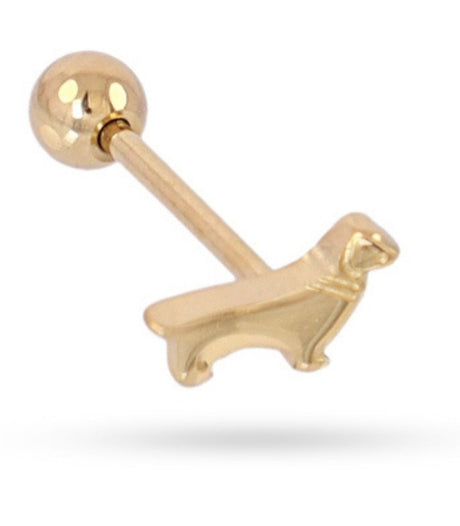 Piercing teckel dorado anartxy 1