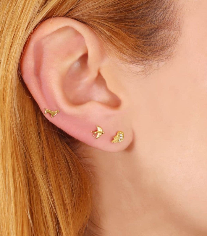 Piercing teckel dorado anartxy 2