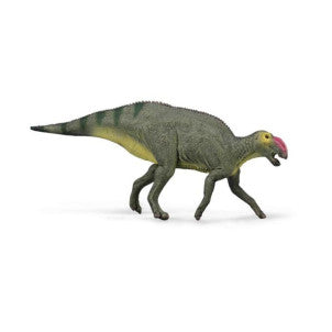 Hadrosaurus collecta 1