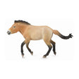 Caballo semental przewalski collecta 1