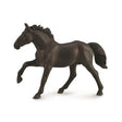 Caballo semental nonius collecta 1