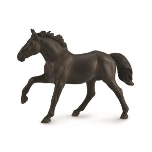 Caballo semental nonius collecta 1