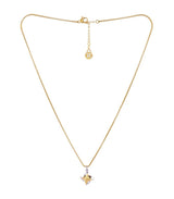 Collar dco118a1 anartxy 2