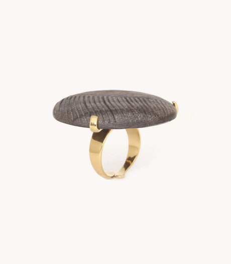 Anillo eclipse nature bijoux 2