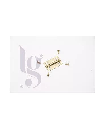 BISAGRA DORADA 2 ud 2.5X1.5cm 1