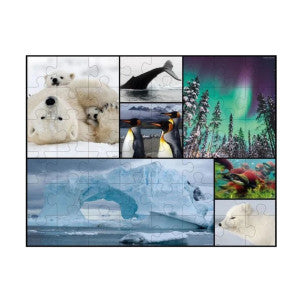 Puzzle 48 pzas regiones polares wwf 2