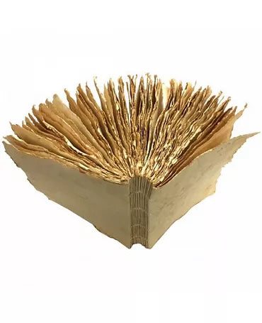 Cuaderno LIASSE Interior 18x24cm TÉ 2