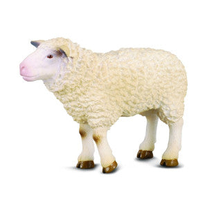 Oveja collecta 1