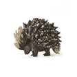 Puercoespin de la india collecta 1