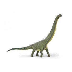 Dreadnoughtus collecta 1
