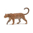 Leopardo africano collecta 1