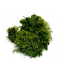MUSGO Verde Claro 100gr 1