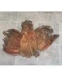 Hoja Palmera Natural 1