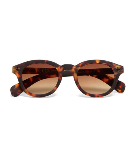 Gafas de sol okkia milano havana 1
